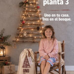 Navidad 2026